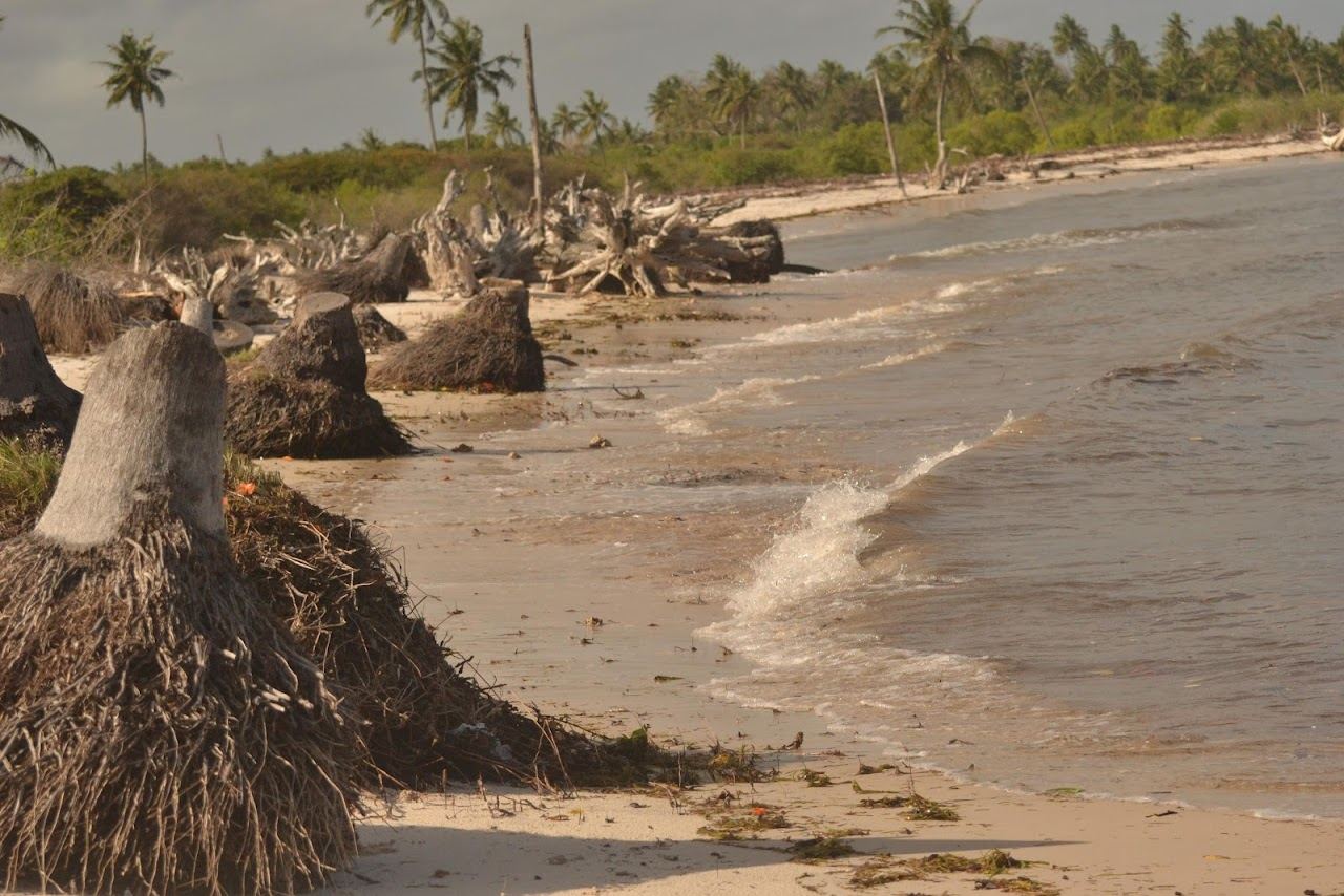The quiet coconut backed sand and calm water of Gazi Beach on the Kenyan south coast