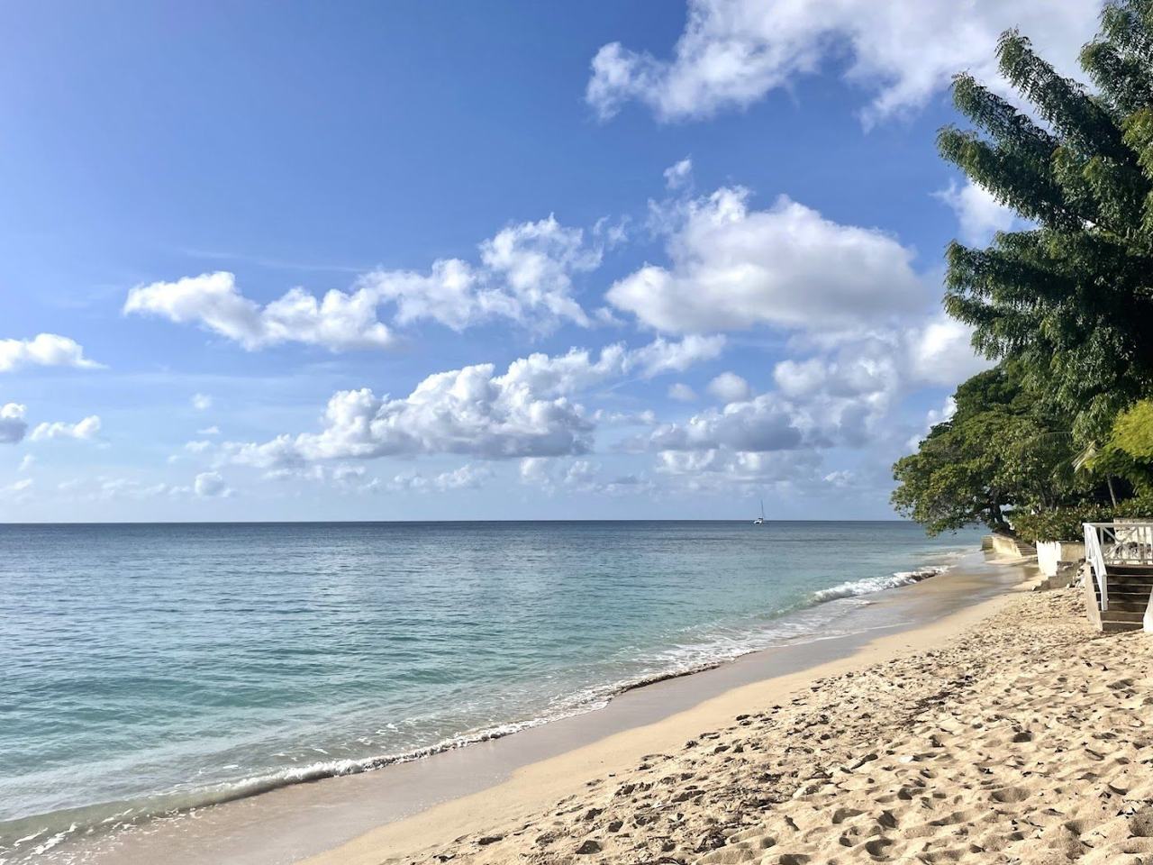 Gentle clear shallows along Gibbs Beach in Saint Peter Barbados