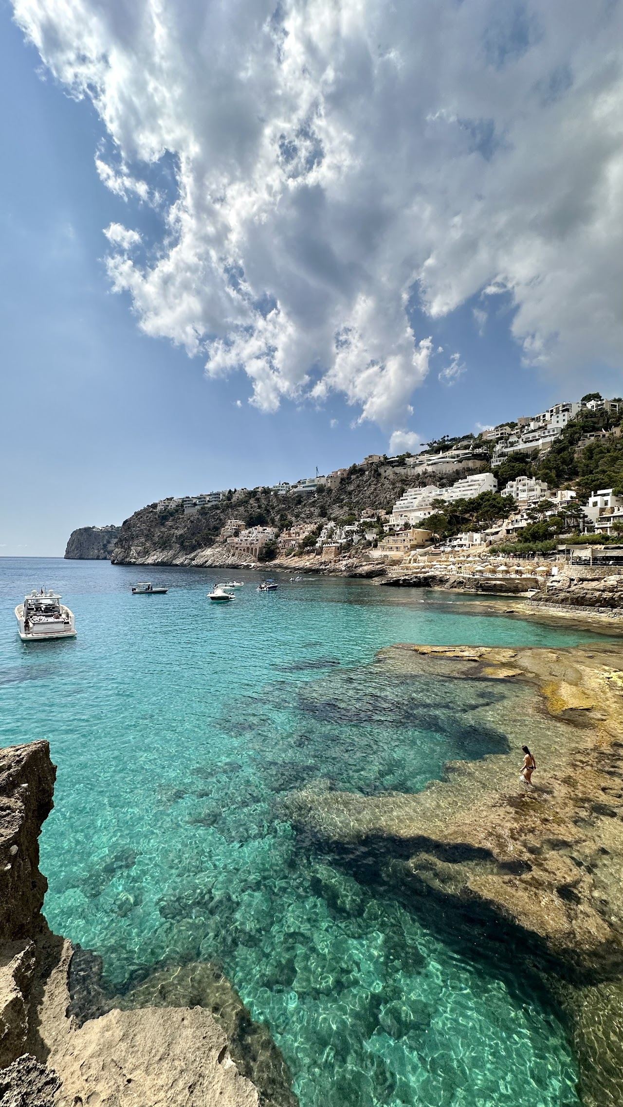 The deep turquoise water of Cala Llamp cove framed by pine covered rocky slopes near Port d'Andratx