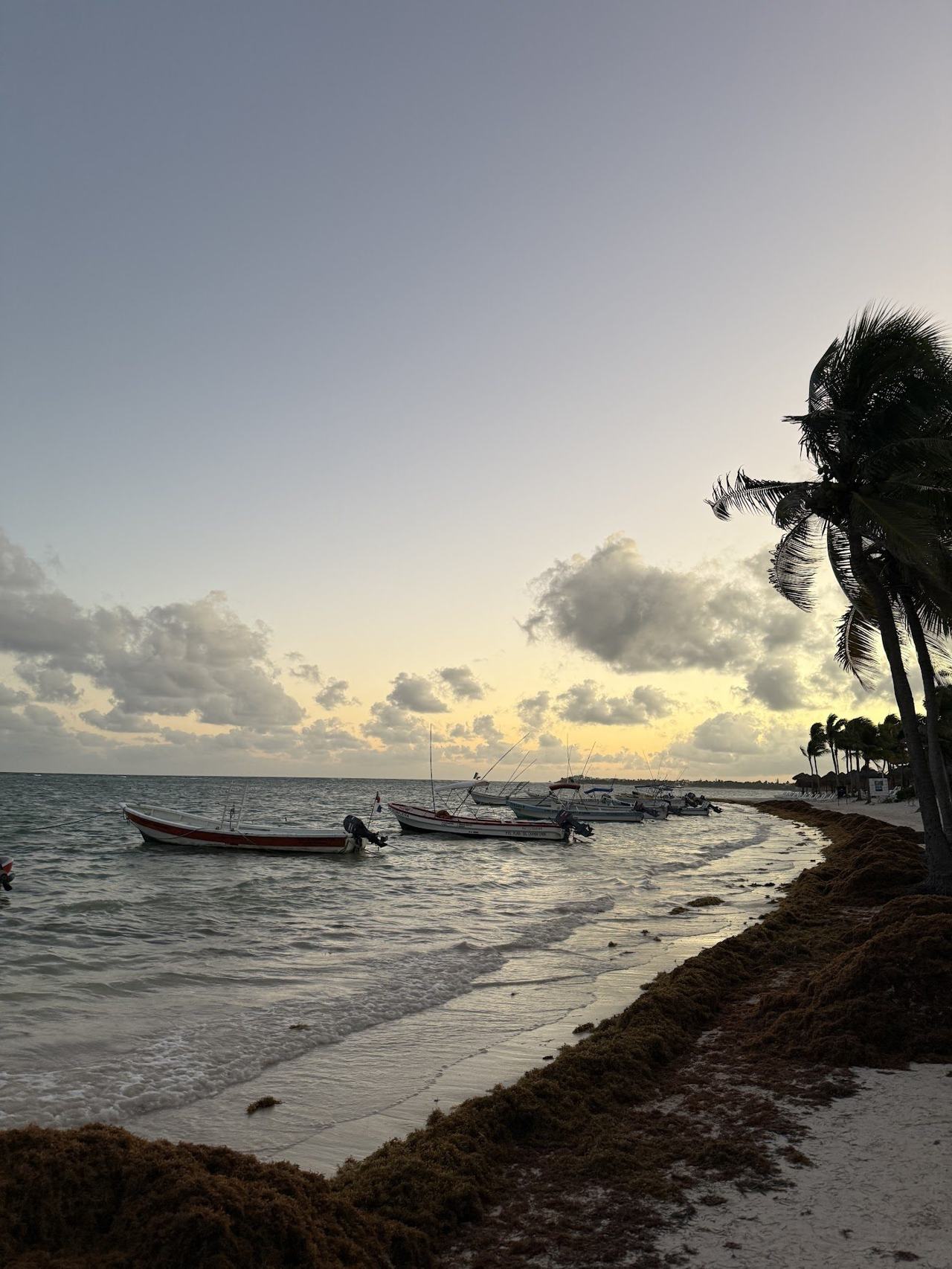 Calm clear water and a crescent shoreline backed by palms at Half Moon Bay near Akumal