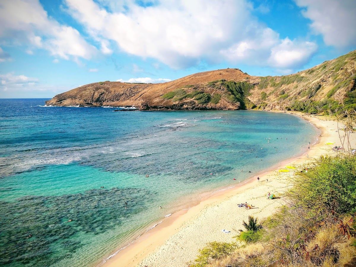View over Hanauma Bay and its reef from the crater rim lookout on Oahu