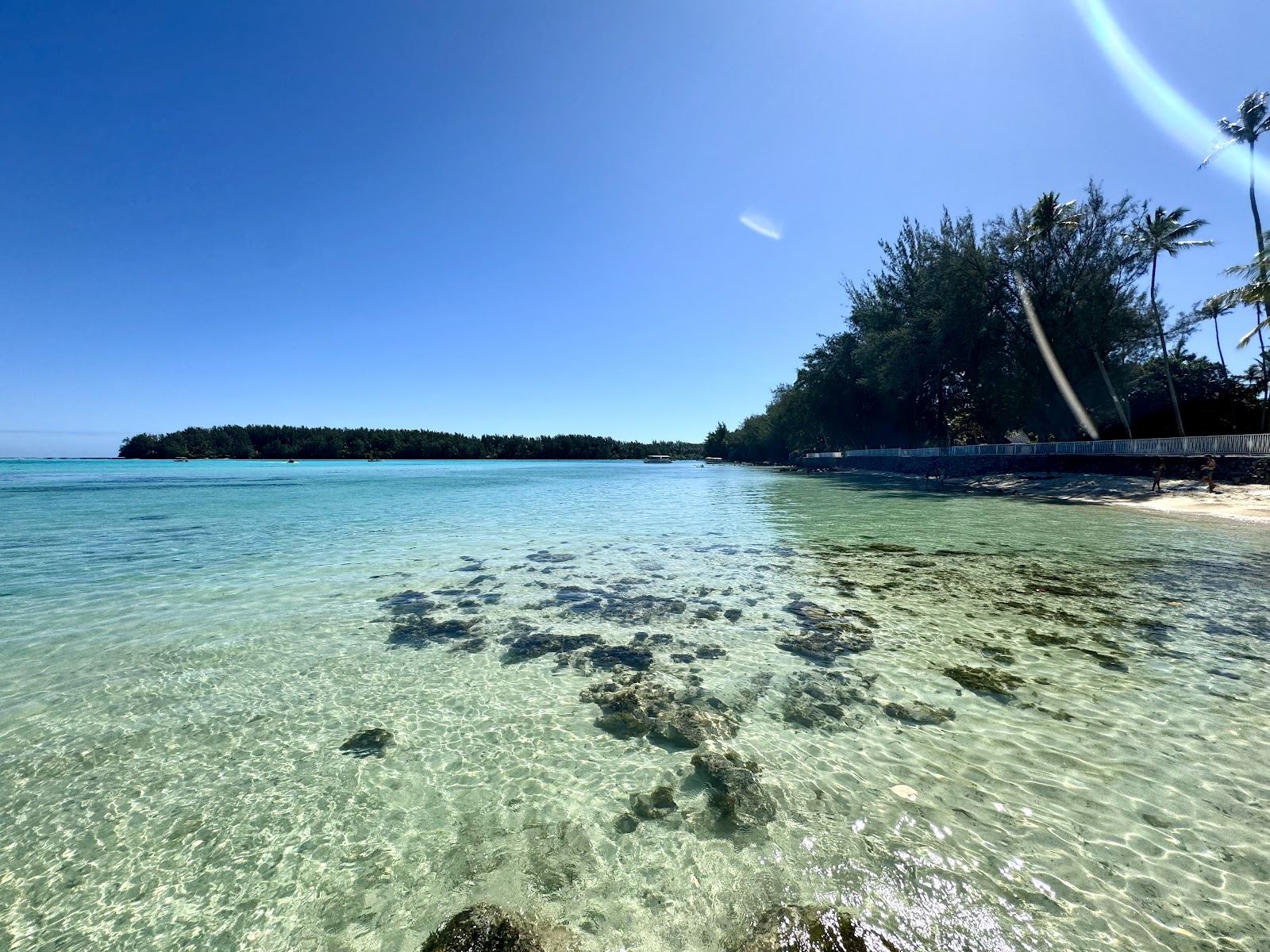 The white sand and shallow turquoise lagoon of Hauru Point beach on Moorea