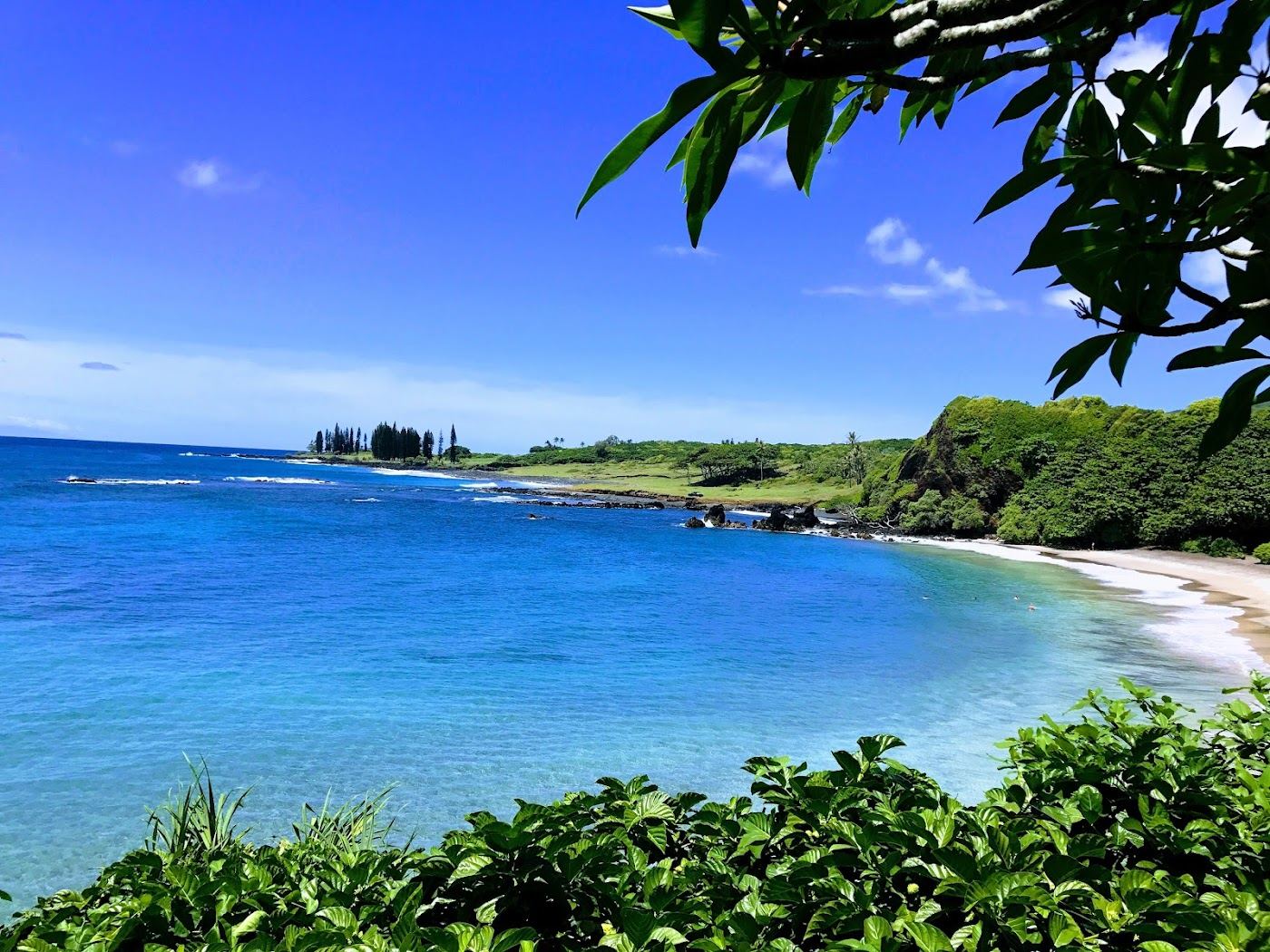The grey gold crescent of Hamoa Beach below a jungle headland near Hana on Maui