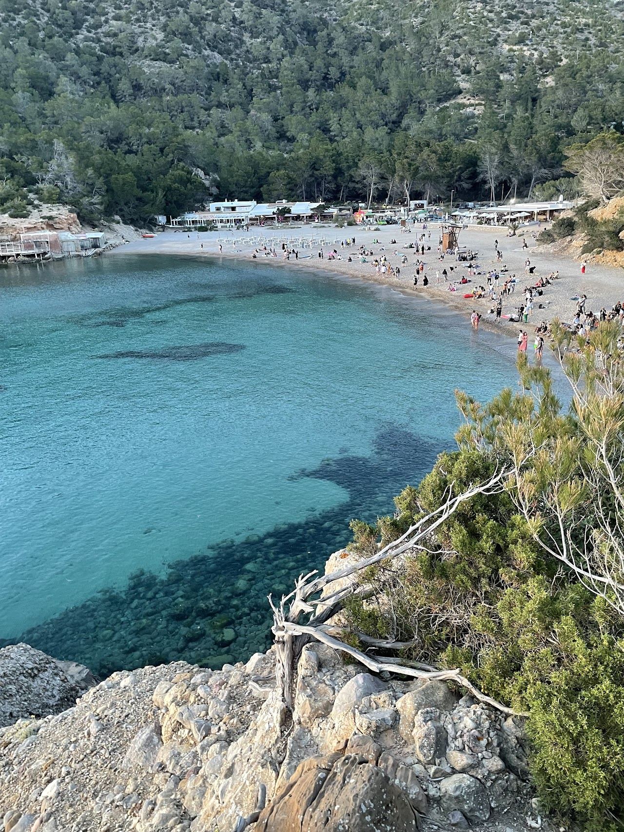 Red rock cove and clear water framed by pines at Benirras Beach on the north coast of Ibiza