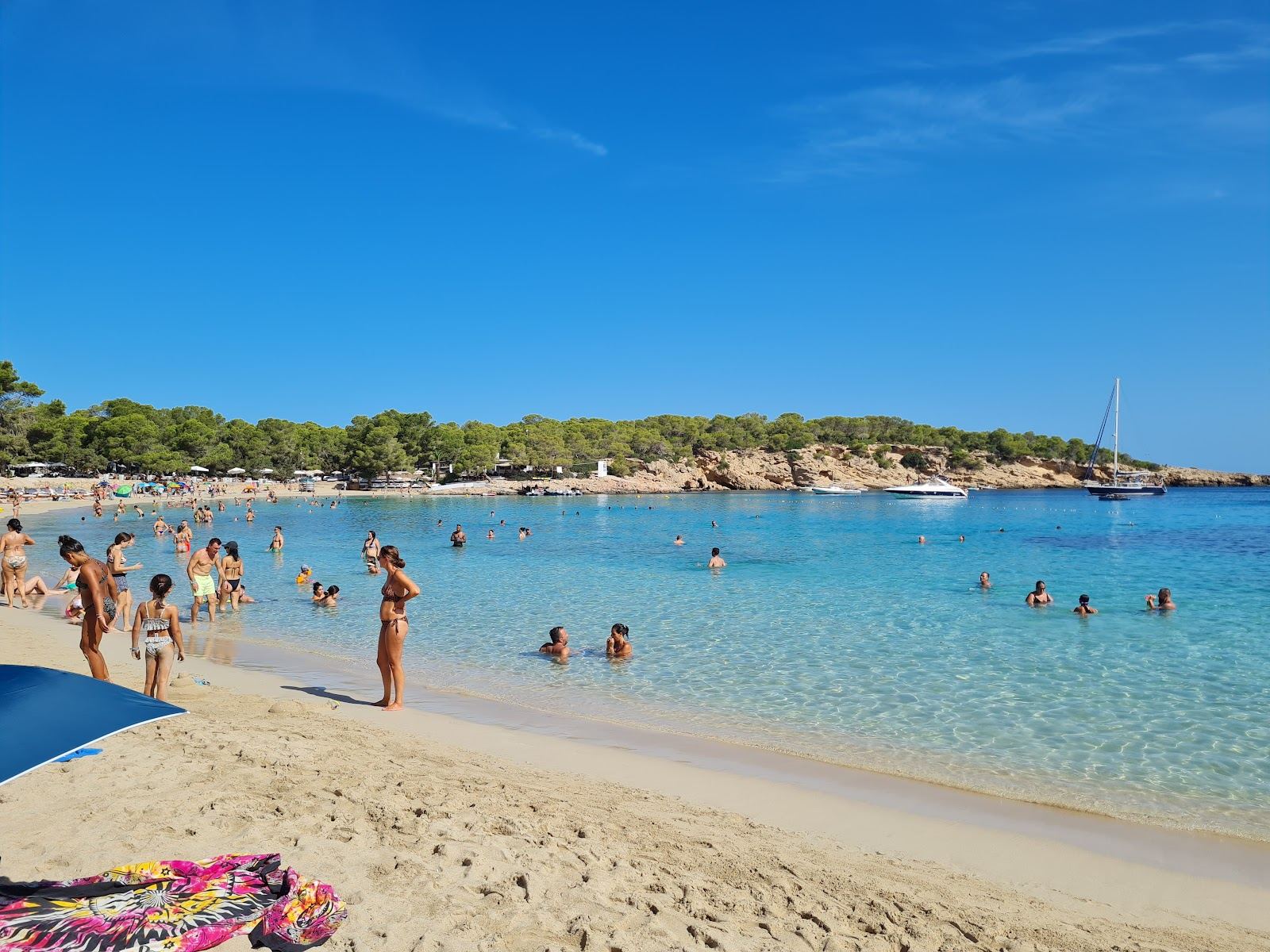 Soft white sand and clear turquoise water in the pine backed bay of Cala Bassa in west Ibiza