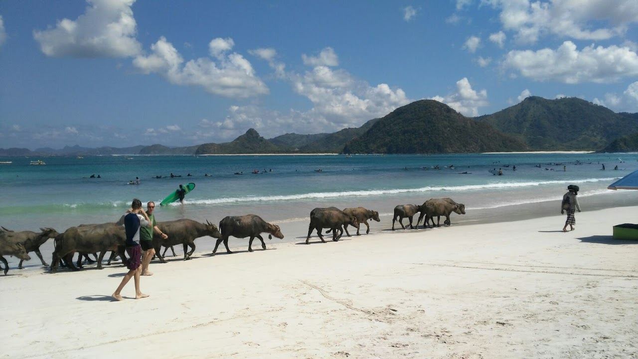 The wide gentle bay of Selong Belanak on Lombok