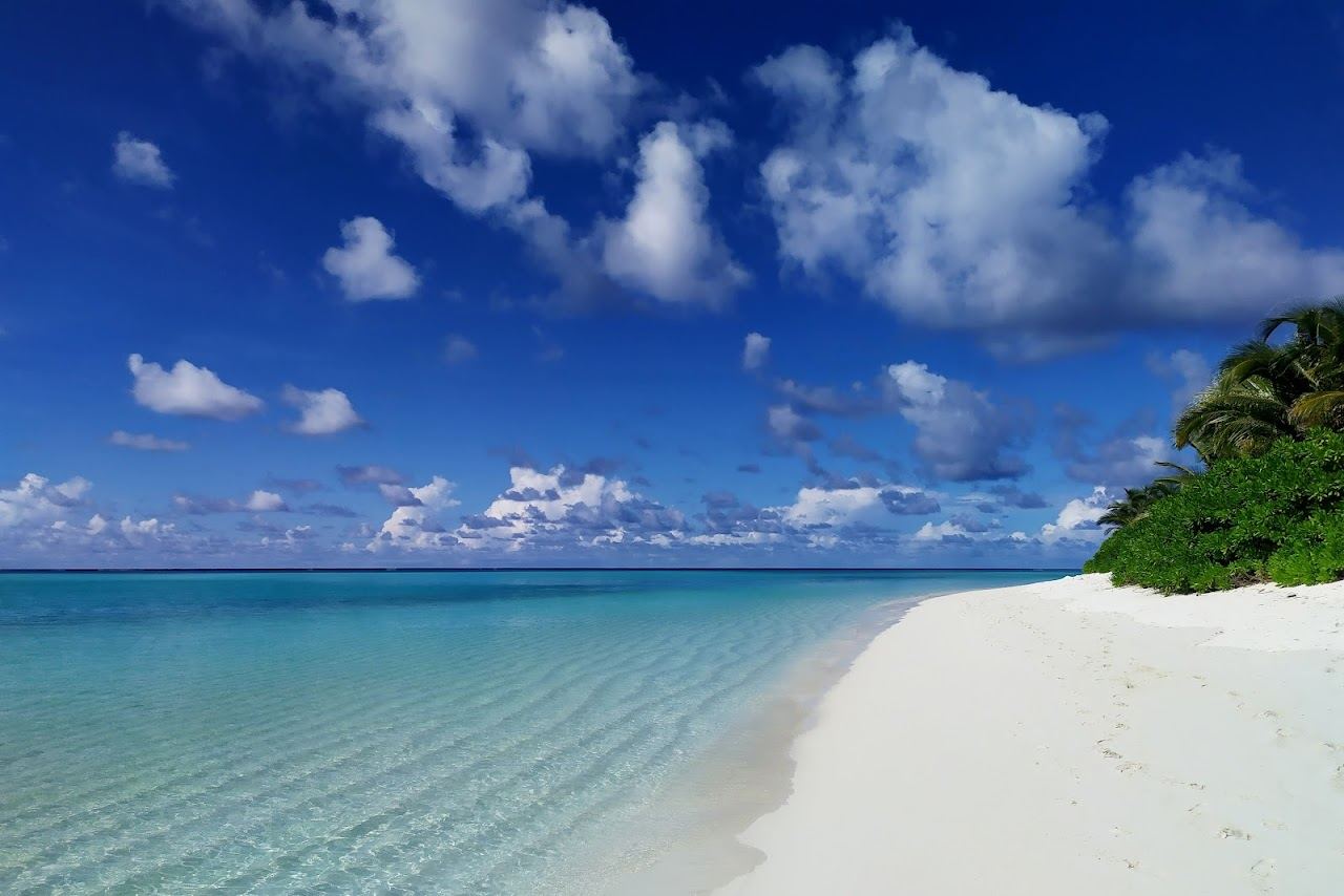 The calm screened bikini beach and clear water at Thoddoo in North Ari Atoll, Maldives