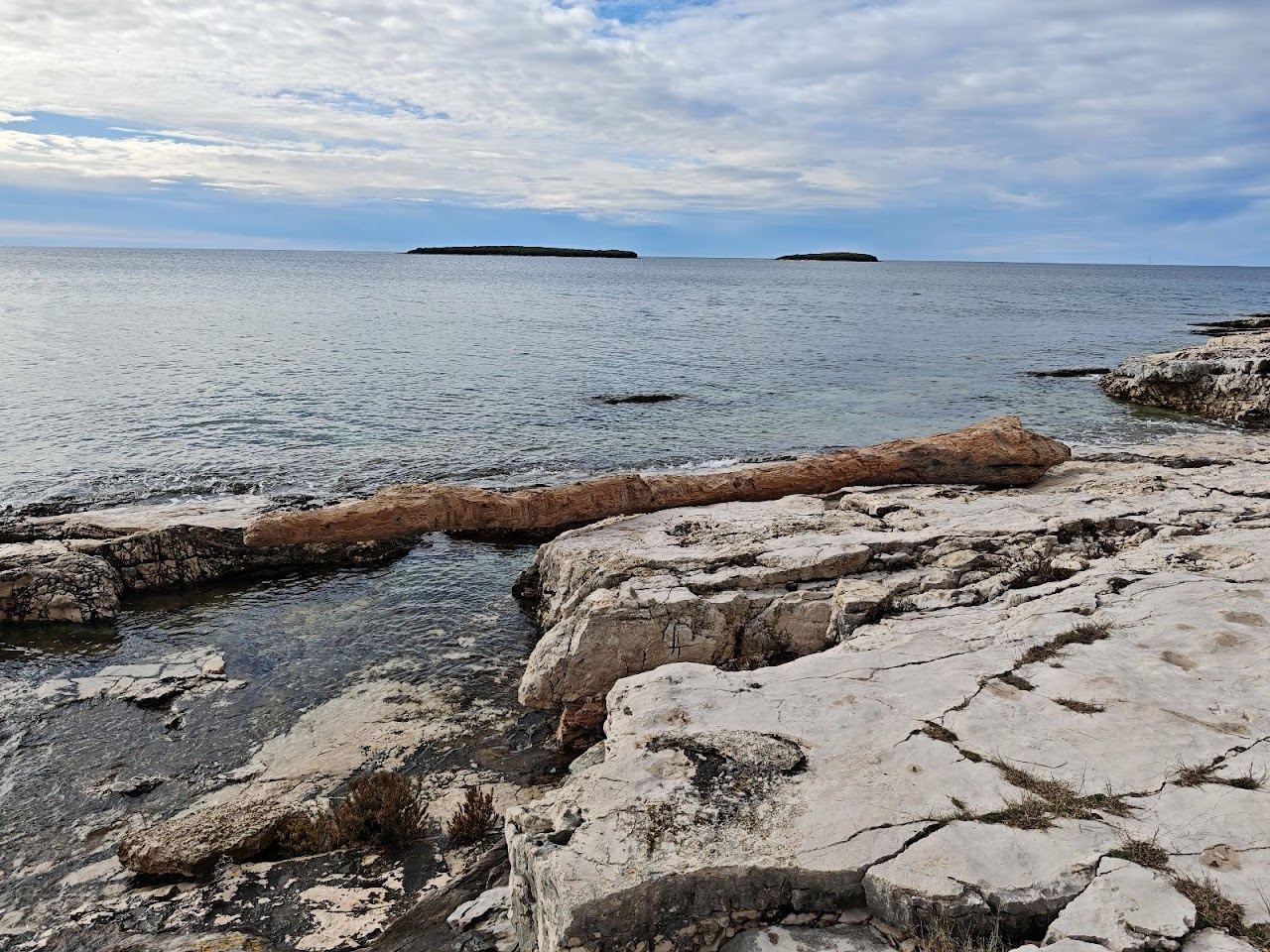 Clear Adriatic water and pine backed pebble coast near Rovinj in Istria, Croatia