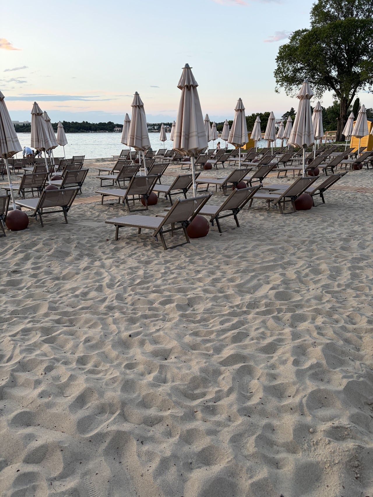 Clear Adriatic water and a rocky pine fringed Istrian coastline under summer light
