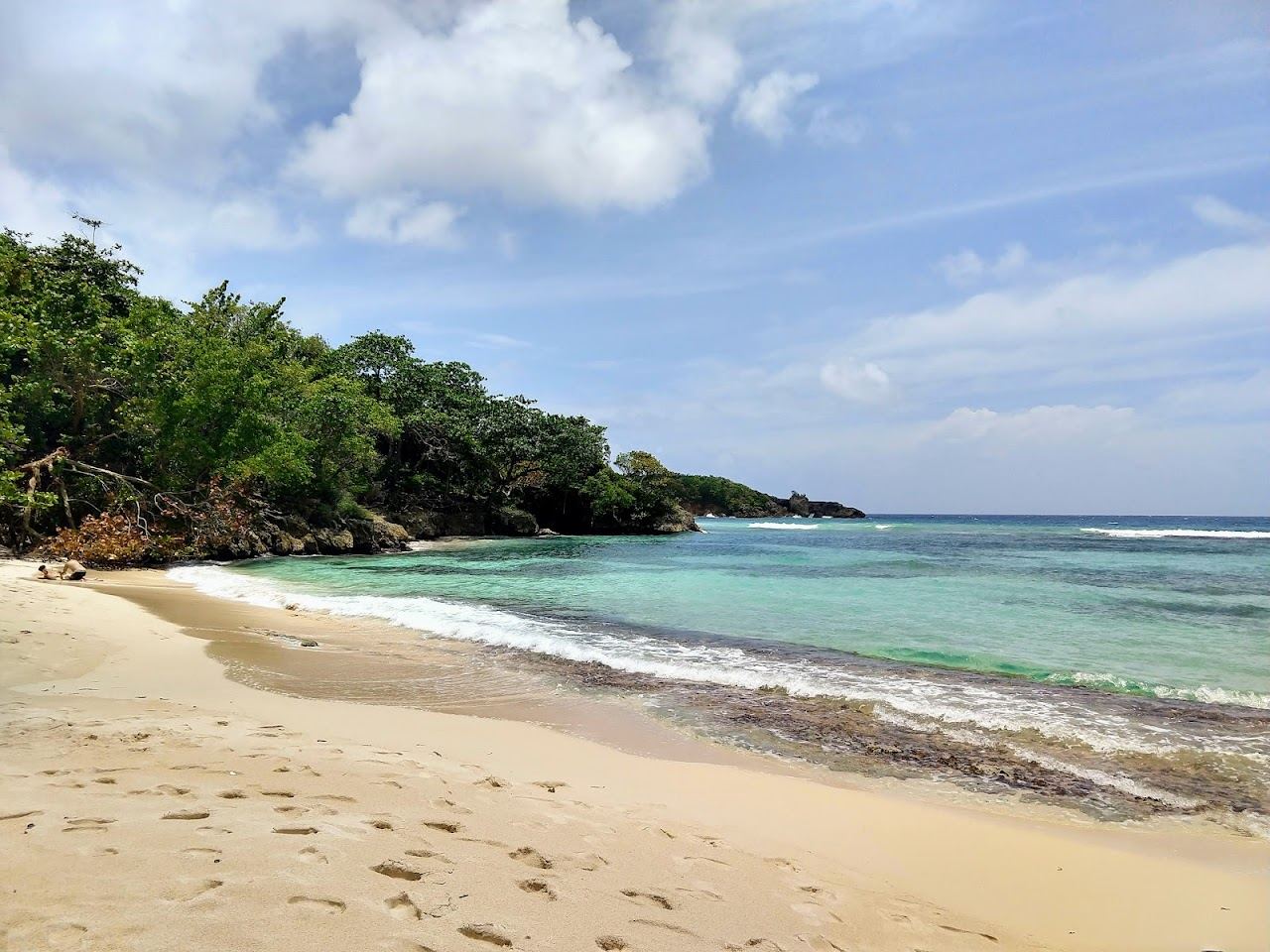 Soft sand and calm clear water framed by palms on a romantic Jamaica beach
