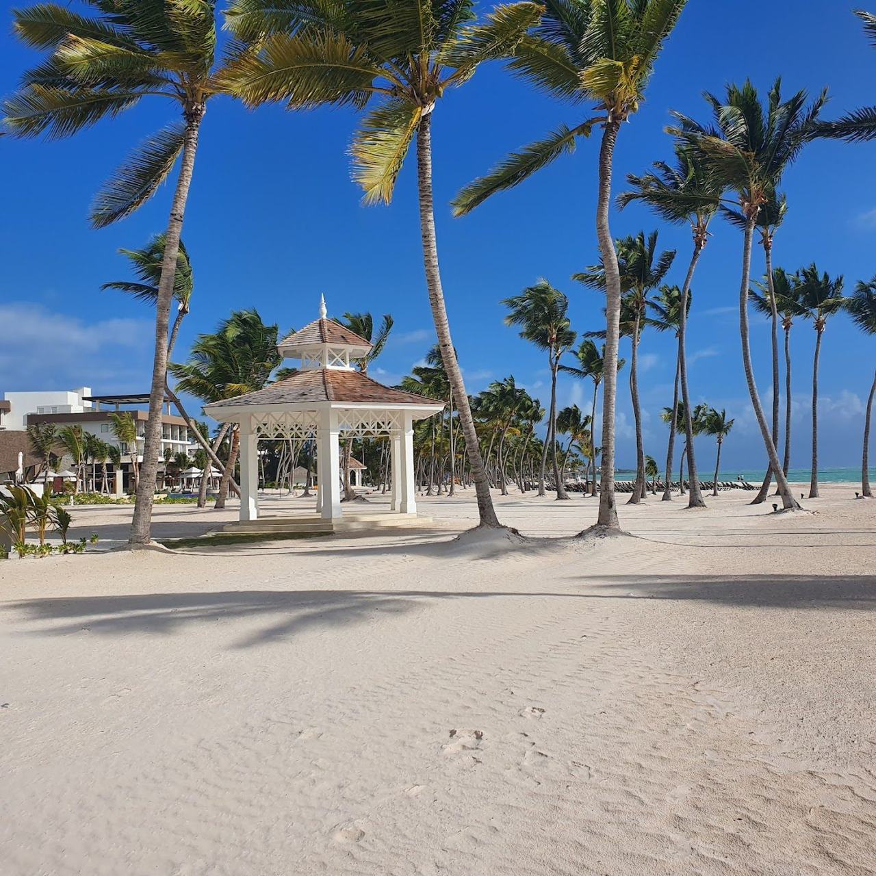 Calm clear shallows and pale sand along Playa Juanillo in Cap Cana