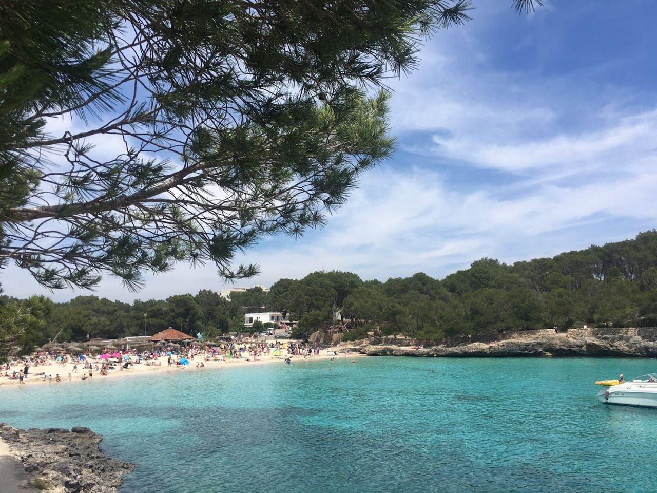 Pine fringed coves, warm sea and reliable sun, with the island spacious before the July influx.
