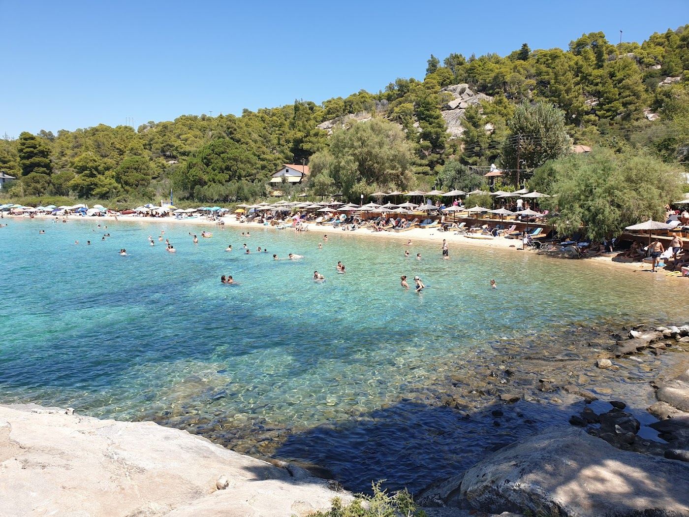 Soft sand and shallow turquoise cove at Kalogria beach near Nikiti on Sithonia in Halkidiki