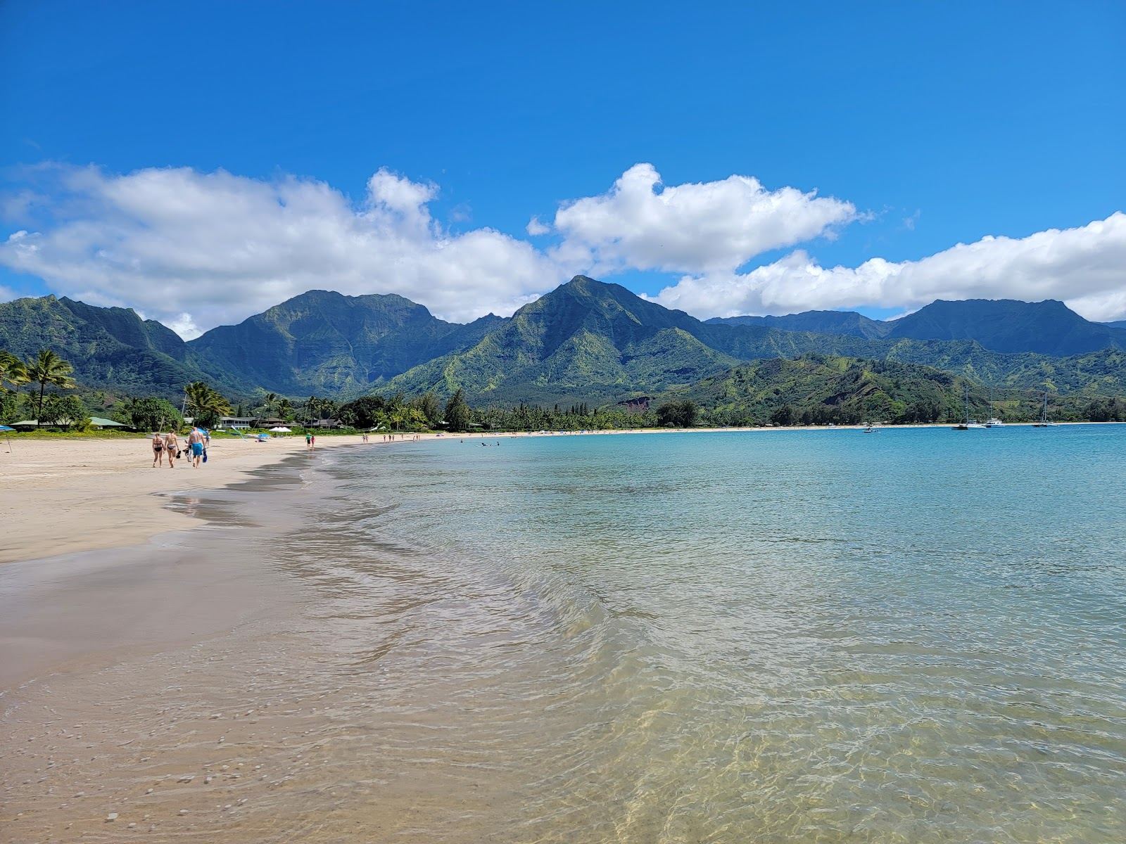 The green mountains and golden crescent of Hanalei Bay on the north shore of Kauai