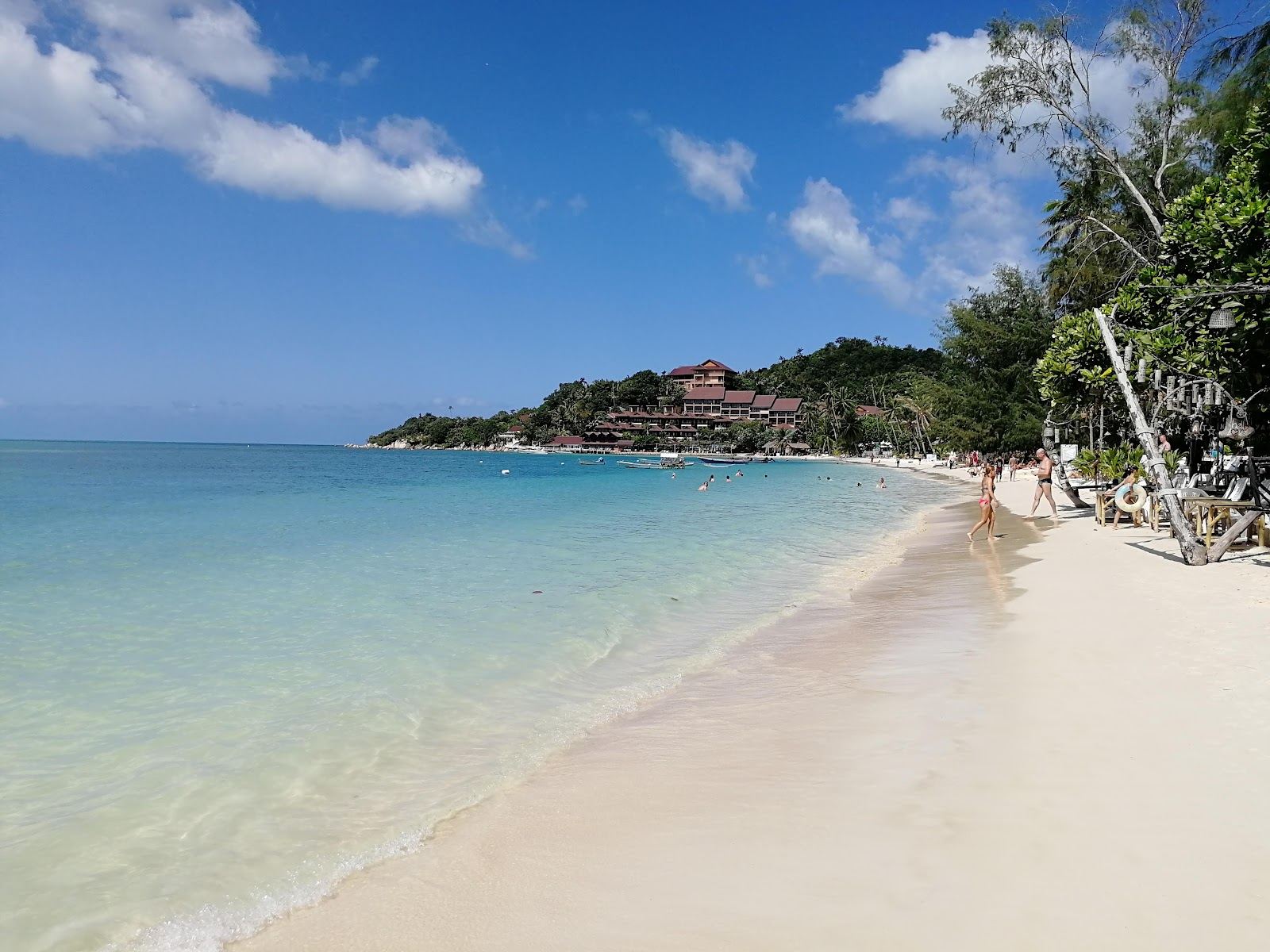 The long pale sand and calm water of Haad Yao on the west coast of Koh Phangan backed by cheap bungalows and palms