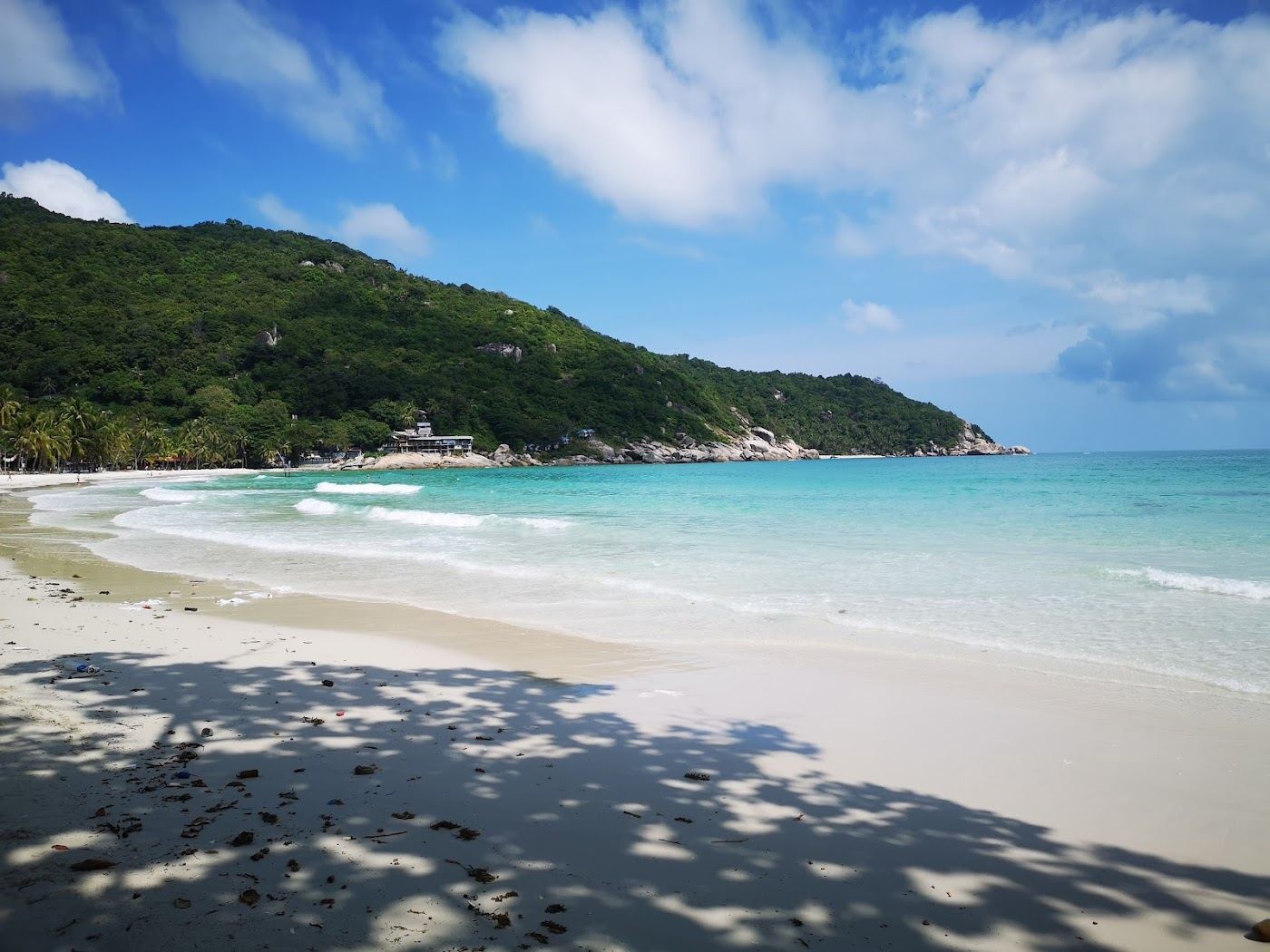 Palms and clear water at Haad Rin beach on the southeast tip of Koh Phangan