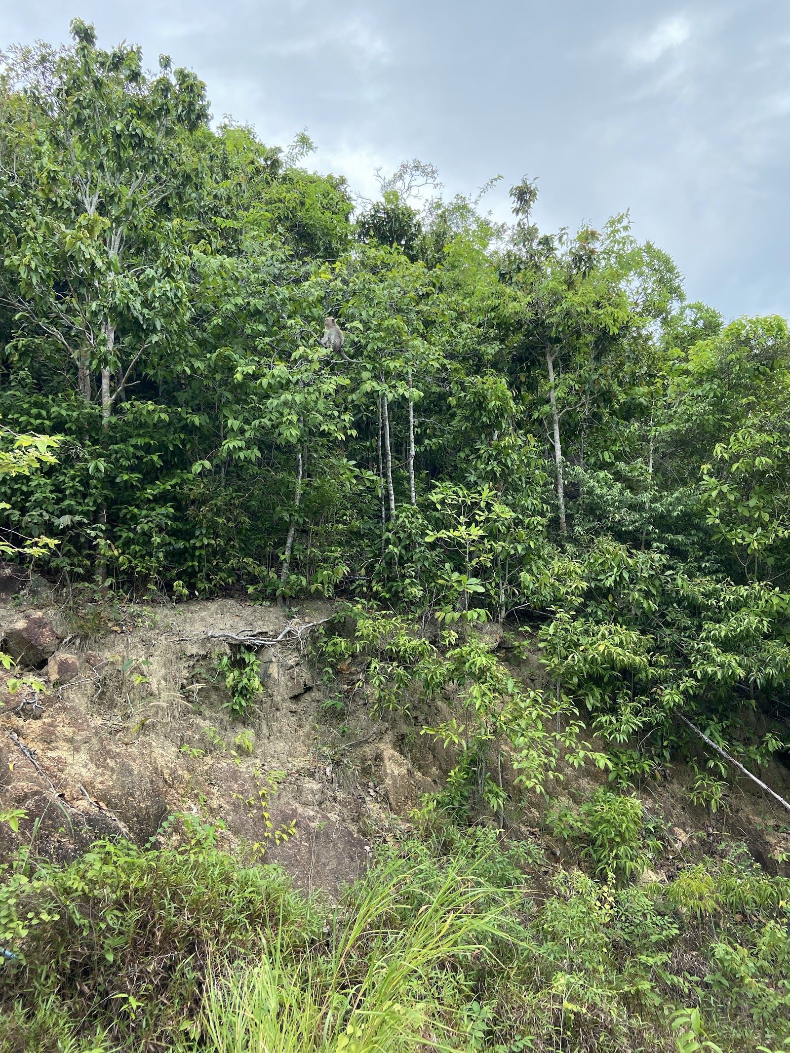 A wild, empty cove of soft sand and clear water backed by jungle on Koh Phangan