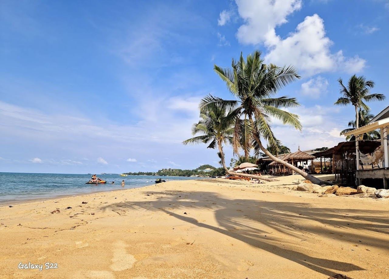 Long calm shoreline of pale sand and palms at Maenam Beach on the north coast of Koh Samui
