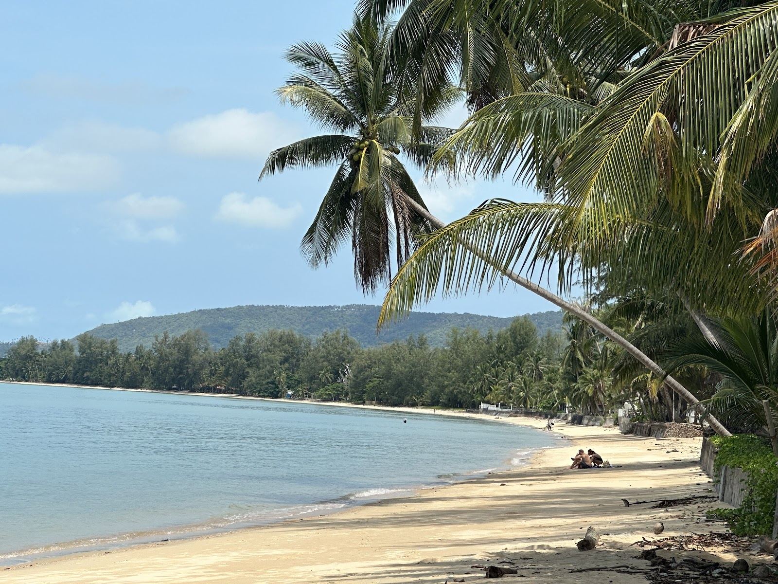 Calm shallow water and palms at Lipa Noi on the west coast of Koh Samui at golden hour
