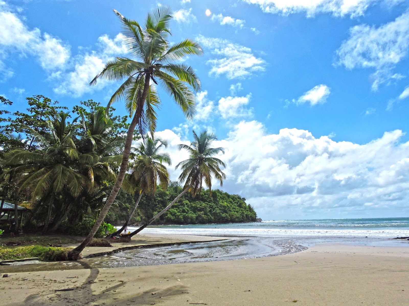 Calm sheltered water and palm backed silver sand at La Sagesse Beach on the south coast of Grenada