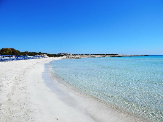 Compact soft sand bay and calm shallow water backed by resort hotels at Landa beach near Ayia Napa Cyprus