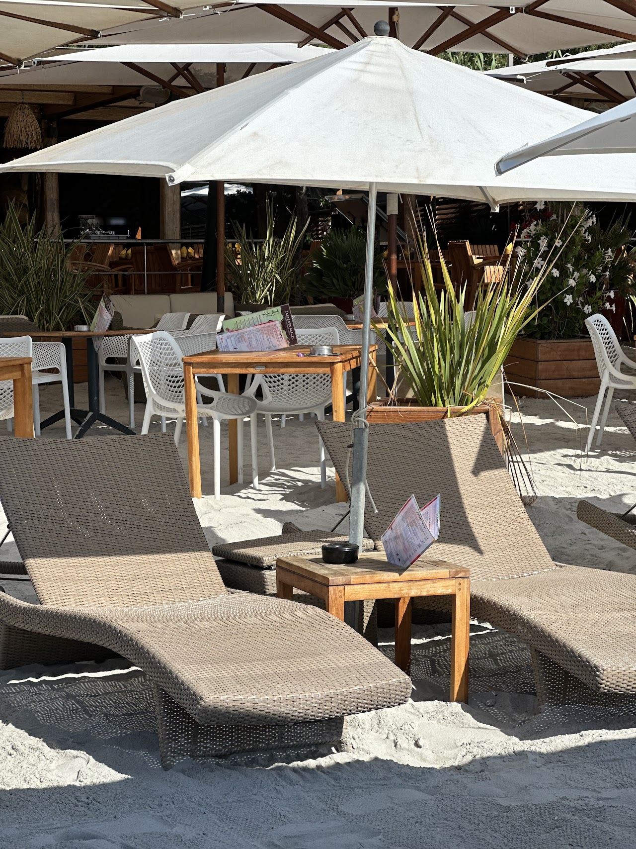 The beach terrace and parasol rows of Le Palm Beach restaurant on Palombaggia beach, Corsica