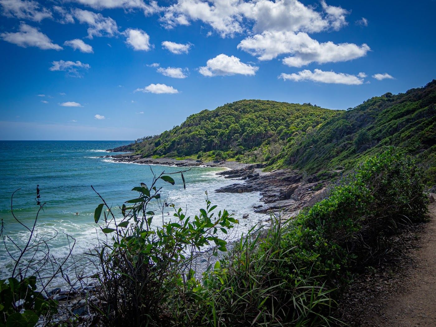 The clear sheltered water and wooded headland of Little Cove at the edge of Noosa National Park