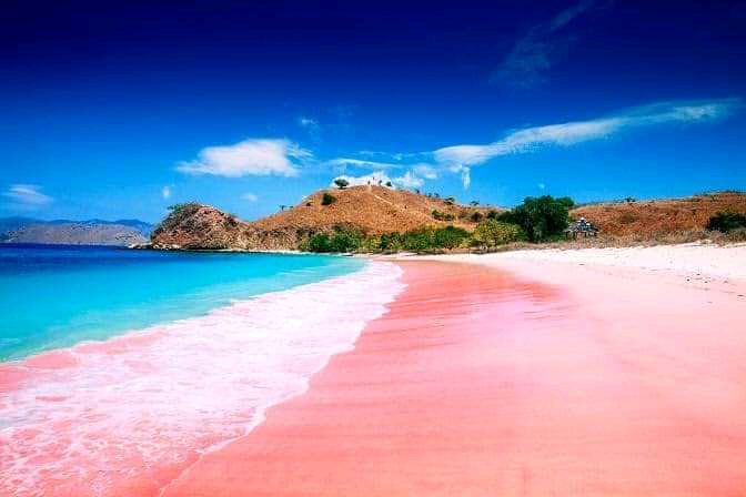 Clear shallow water and reef over the rosy sand at Pink Beach in southeast Lombok