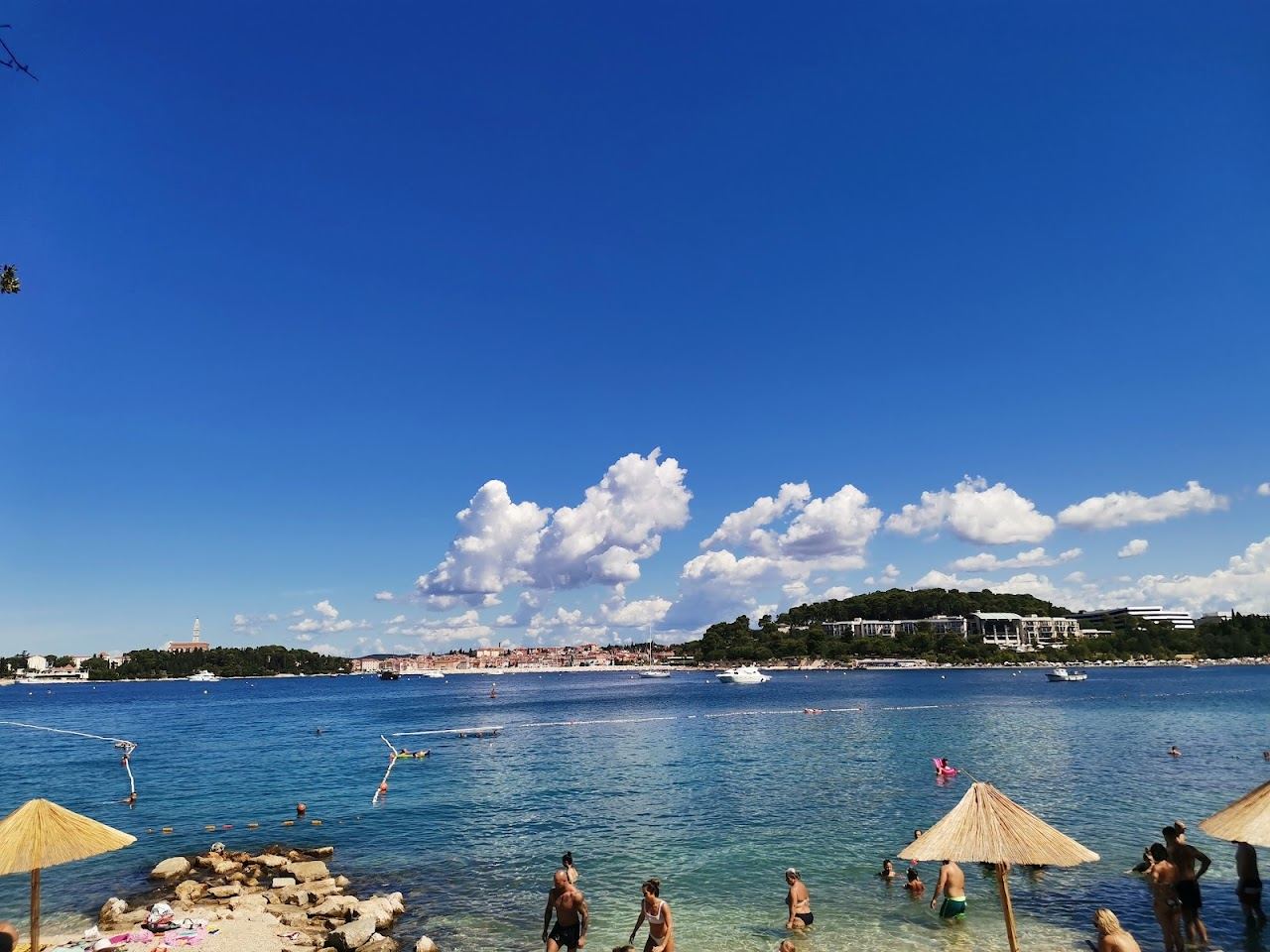 Wide gravel beach shaded by century old pines with clear water at Lone Bay in the Zlatni Rt park near Rovinj in Istria