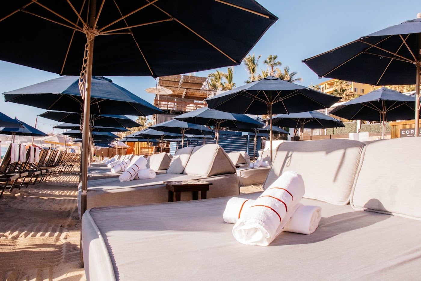 Loungers at a Los Cabos beach club
