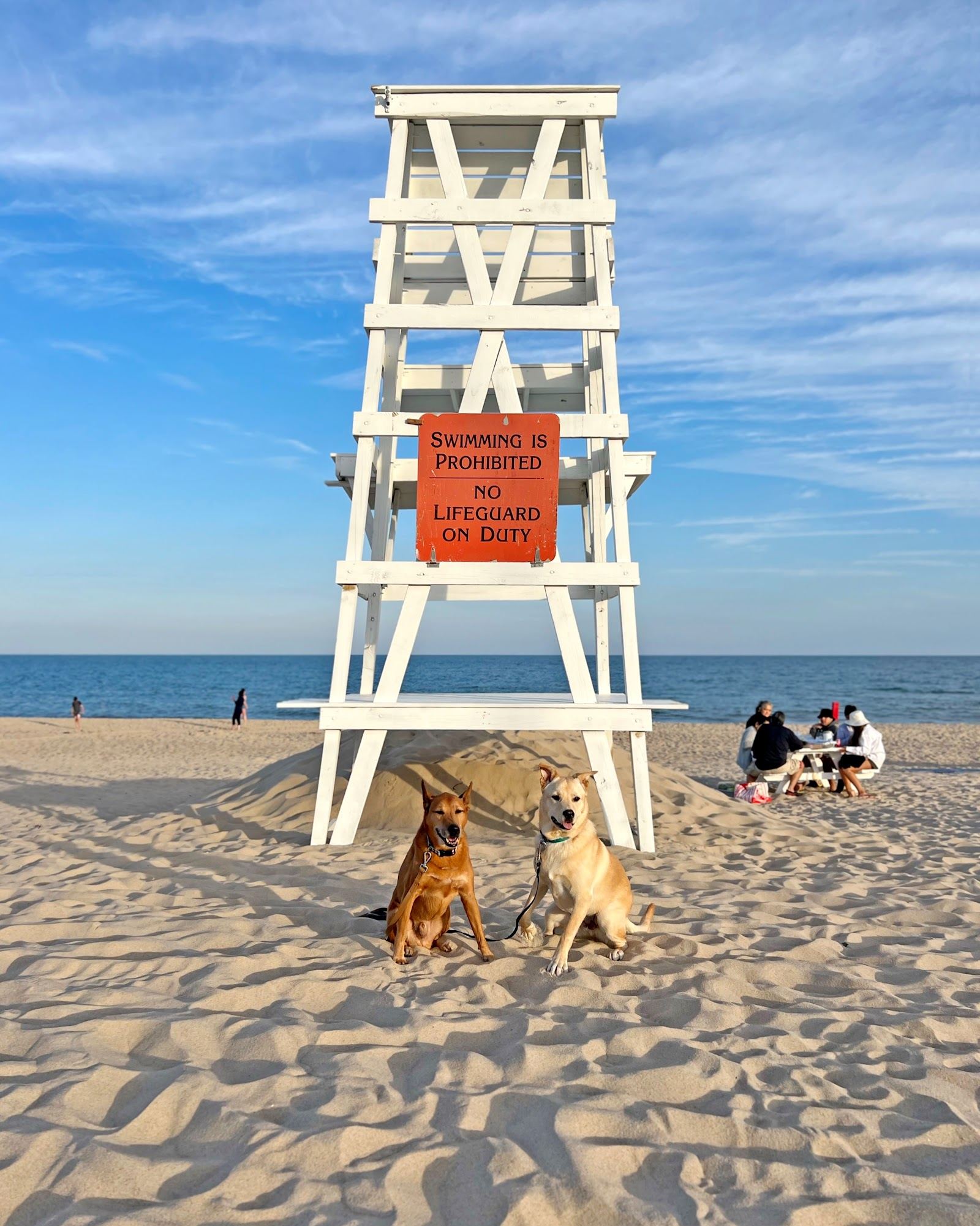 The wide white sand at Main Beach in East Hampton