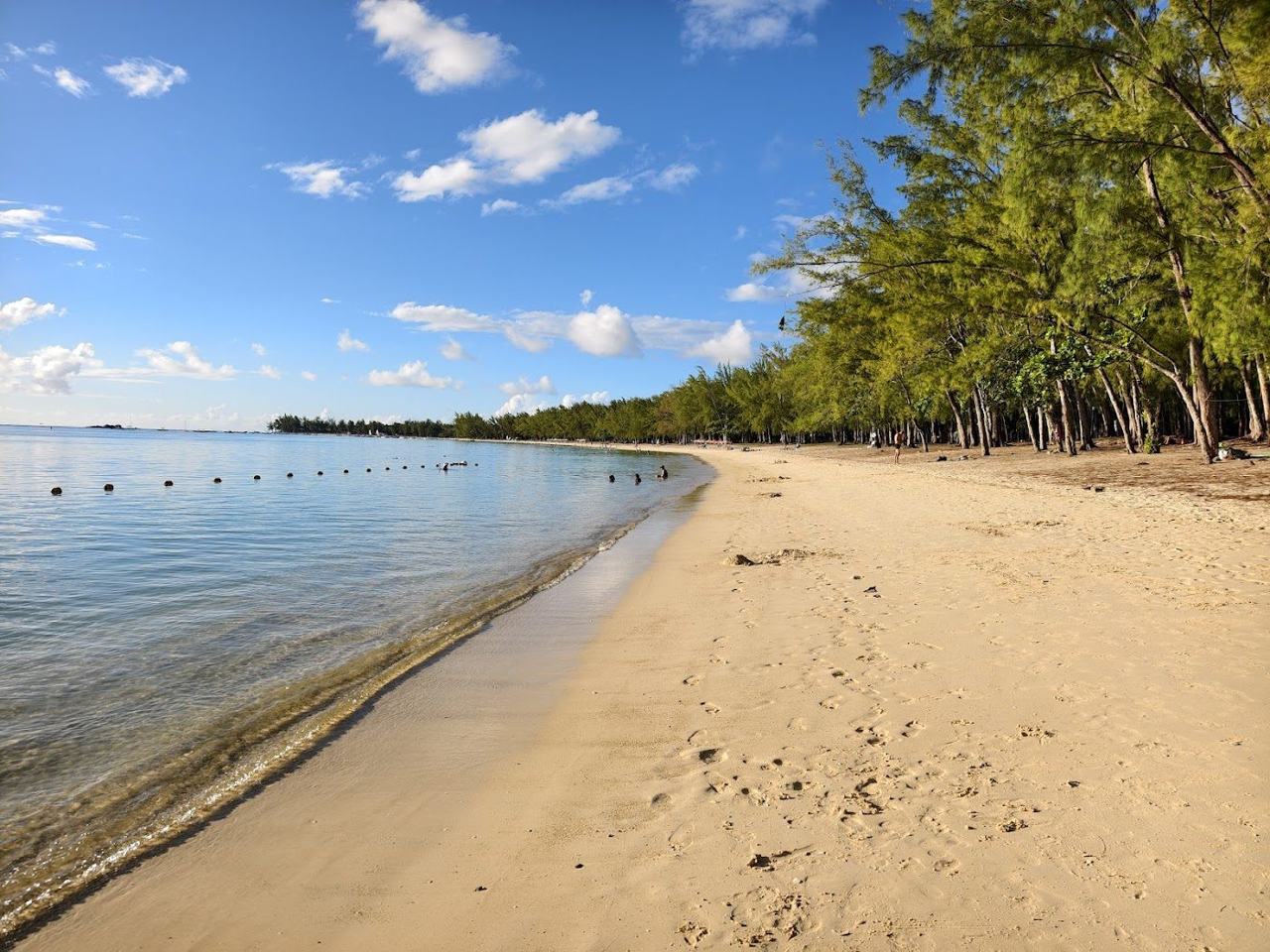 Calm turquoise lagoon and casuarina shaded sand on the north coast of Mauritius