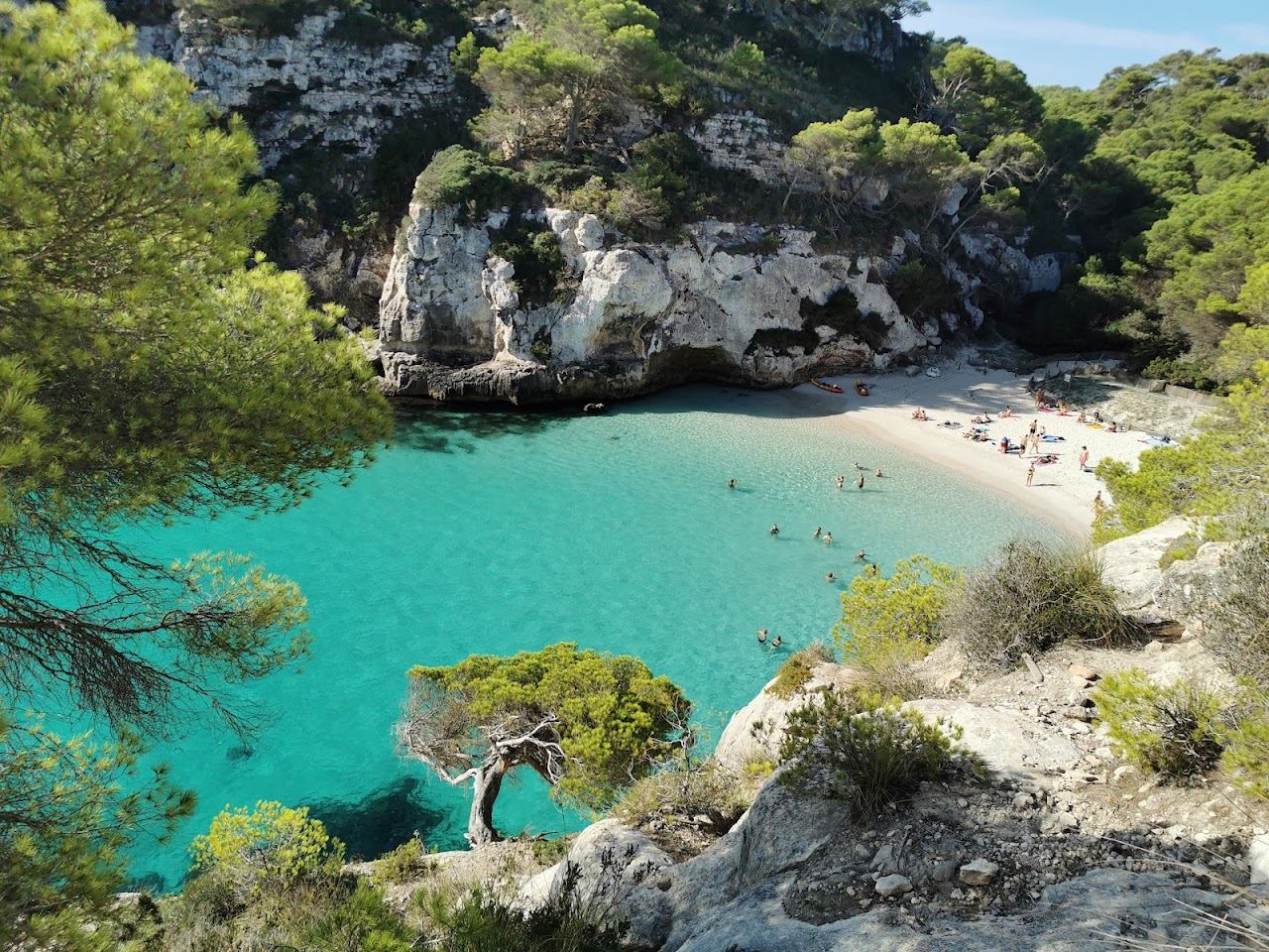 Turquoise cove framed by pine cliffs at a quiet Menorca cala