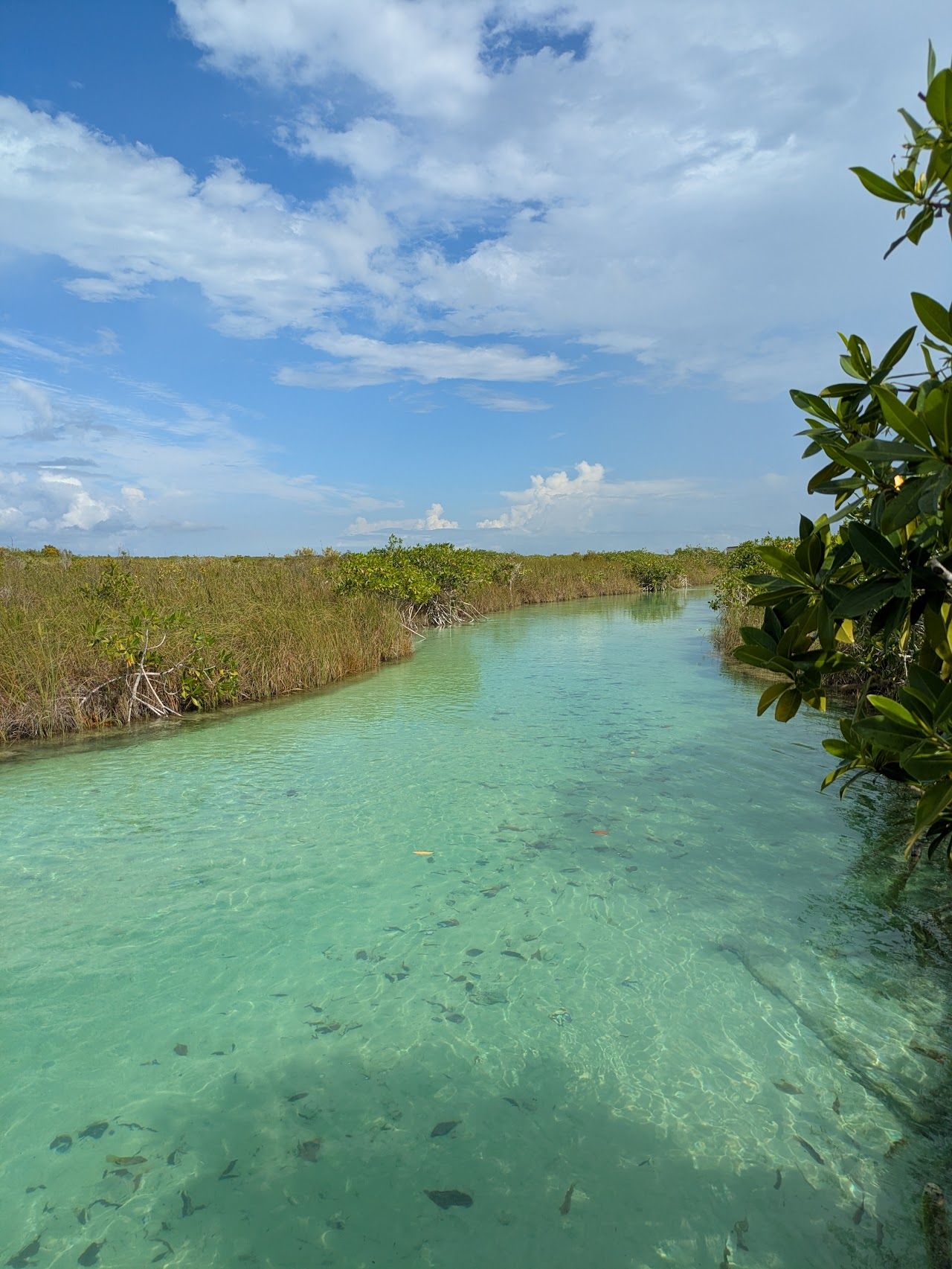 Beach in the Sian Kaan biosphere near Tulum, Mexico