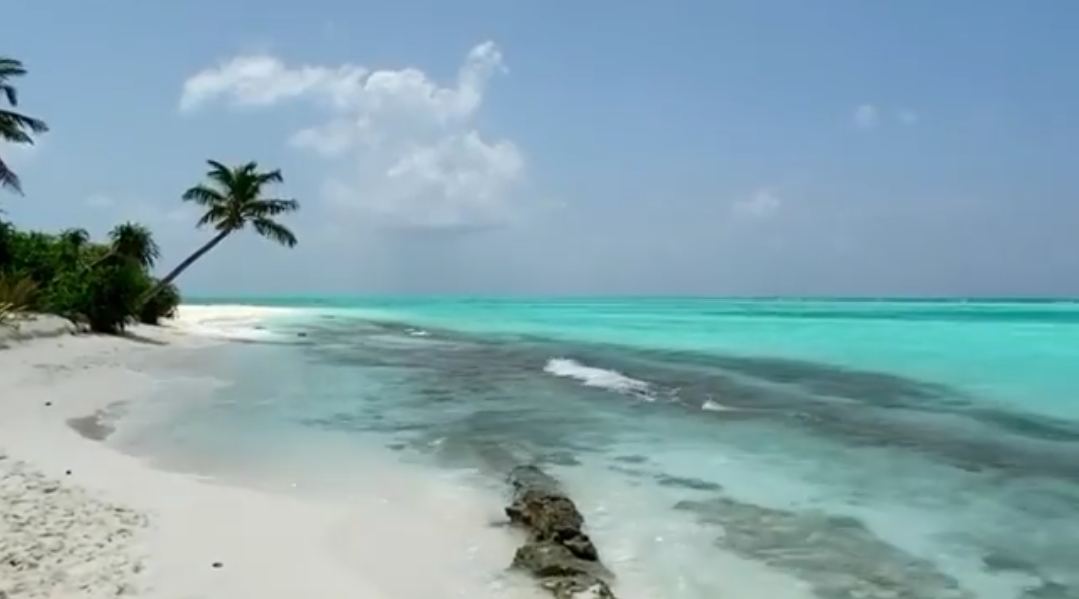 A pristine empty white beach and clear shallows on Fulhadhoo island in Baa Atoll