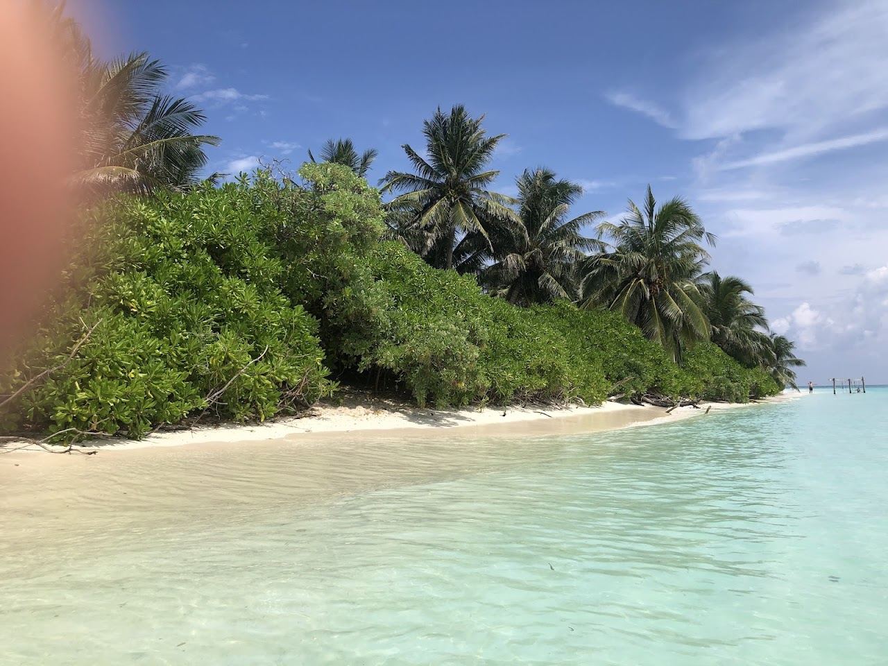 A bright white bikini beach with calm clear water on Thoddoo island in the Maldives
