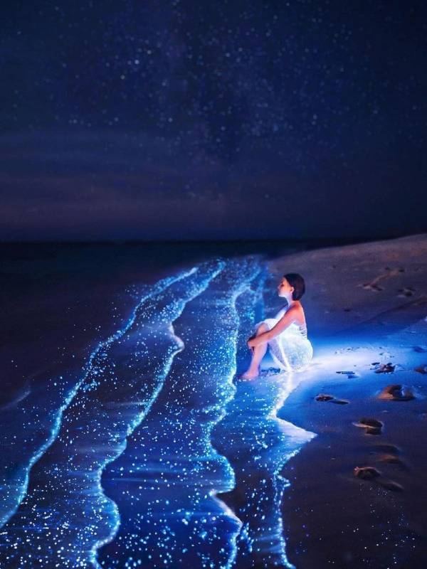 A dark night shoreline glowing with blue bioluminescent plankton at Vaadhoo in the Maldives