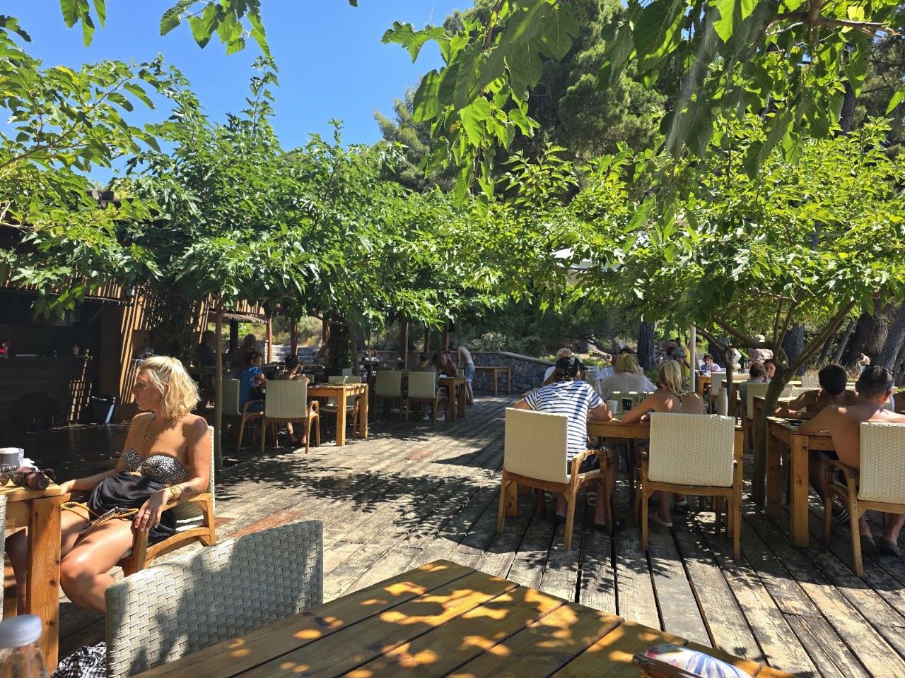 Padded loungers and umbrellas on the calm stretch of Big Banana beach in front of Nest Beach Bar, Skiathos
