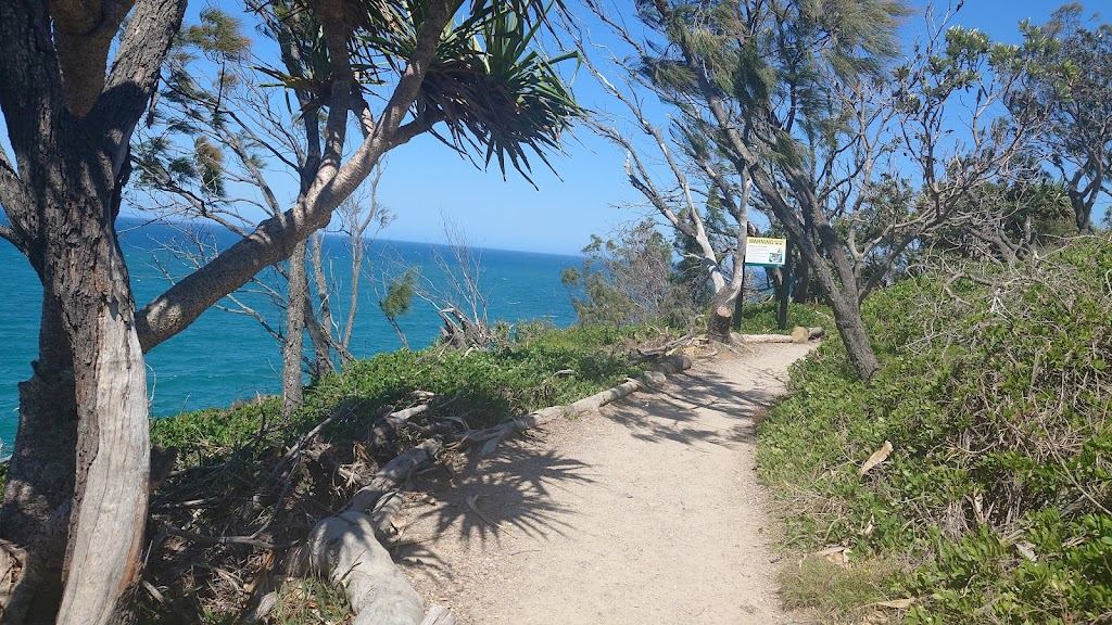 Coastal walking track through bushland leading toward the ocean in Noosa National Park