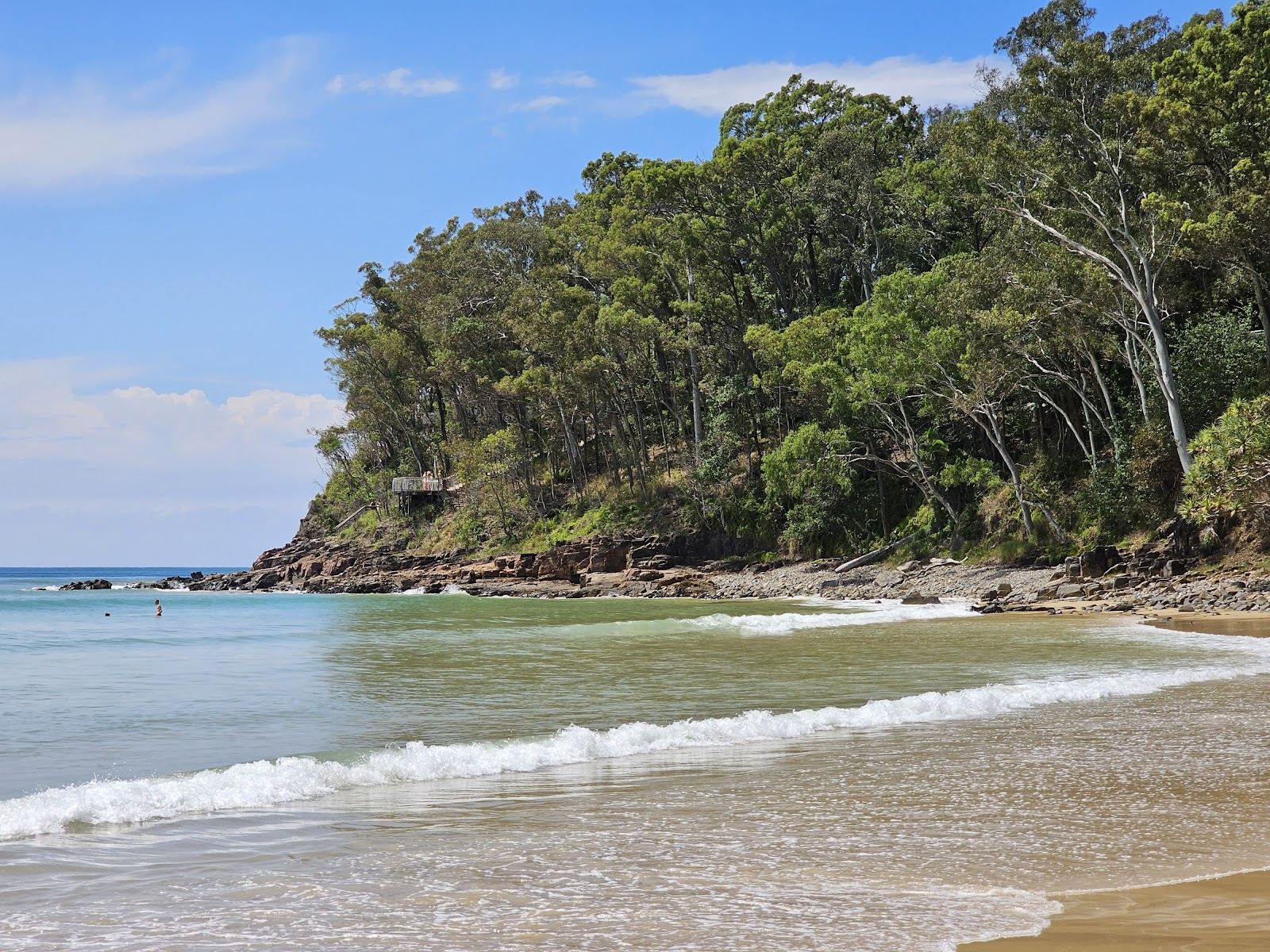 Calm clear water and pandanus trees at Little Cove, a sheltered north facing pocket at Noosa Heads