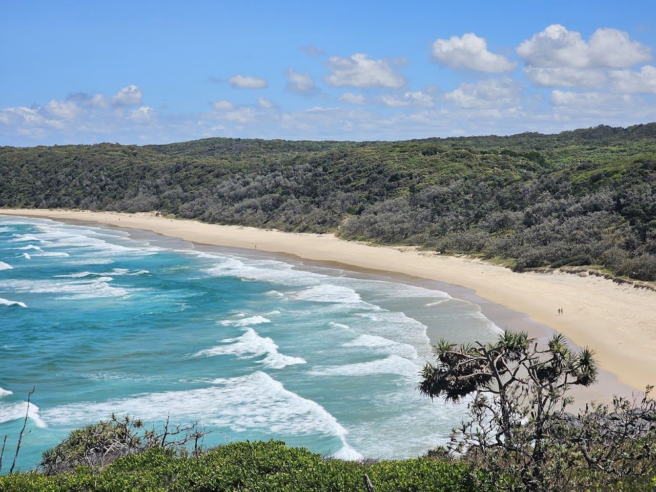 Wild dune backed sand and open surf at Alexandria Bay inside Noosa National Park