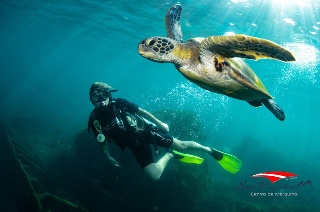Snorkelers in the sheltered bay at Baia do Sueste in Fernando de Noronha