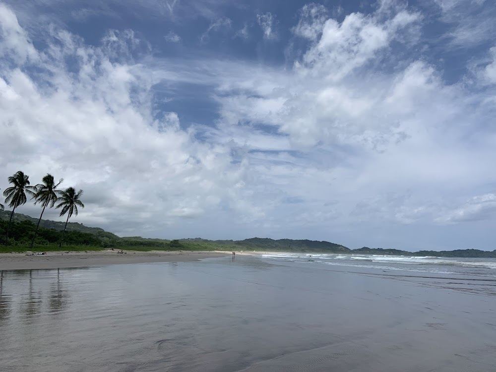 Surf beach and palms at Playa Guiones near Nosara in Guanacaste