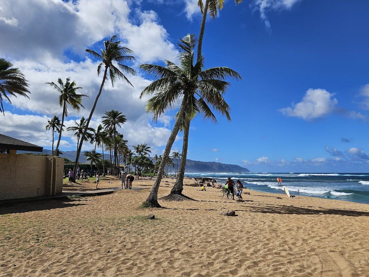 Calm sand and palms at Haleiwa Alii Beach Park