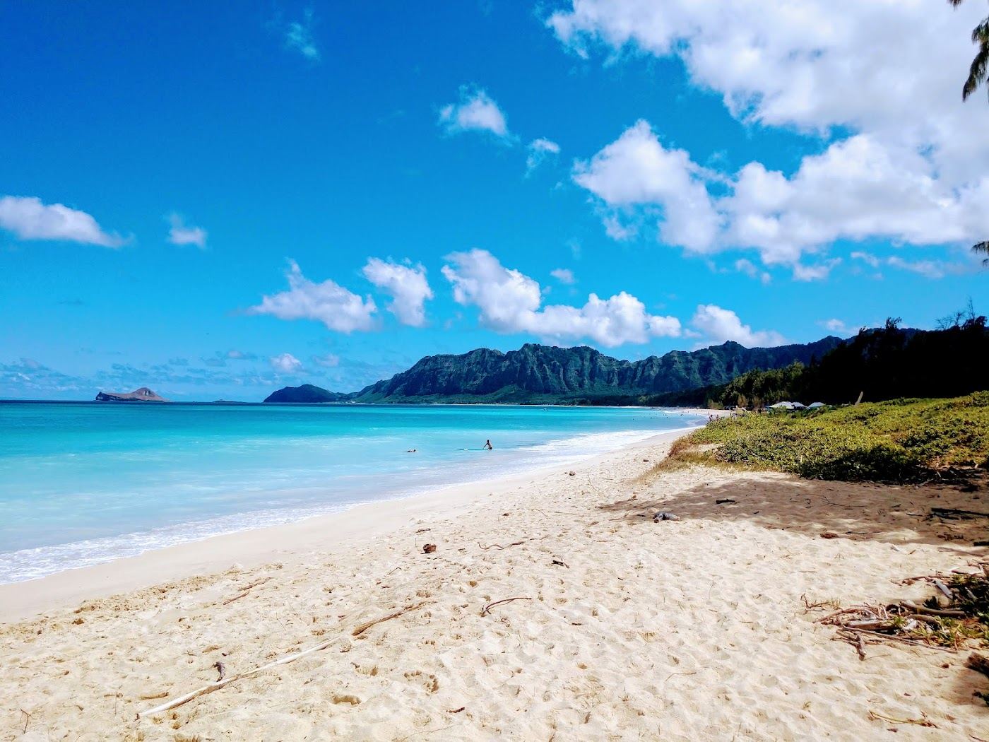 Shady ironwood backed sand at Bellows Beach on Oahu