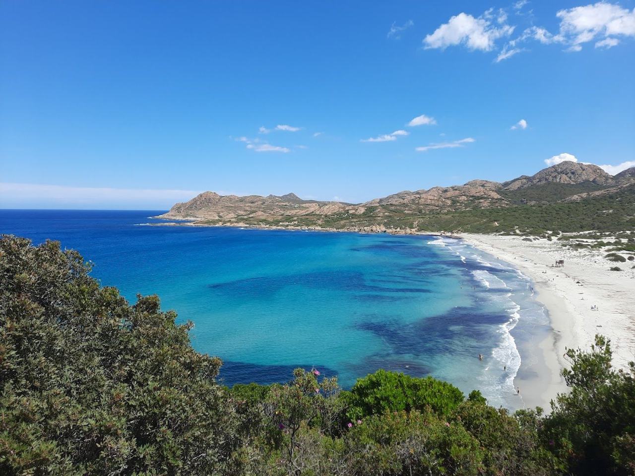 ostriconi in Corsica France