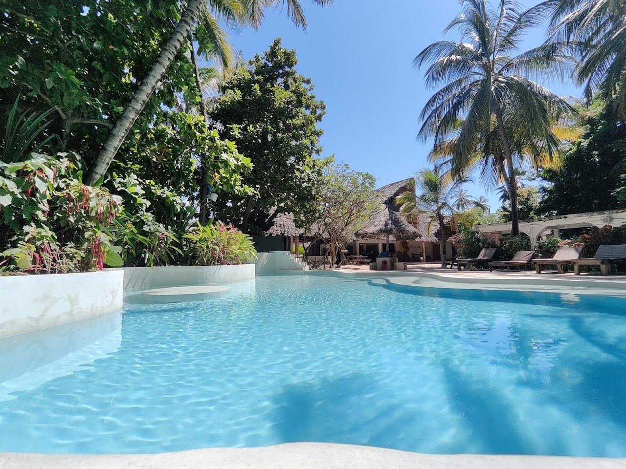 Garden bar and palm shaded grounds of Paje by Night behind Paje beach in Zanzibar
