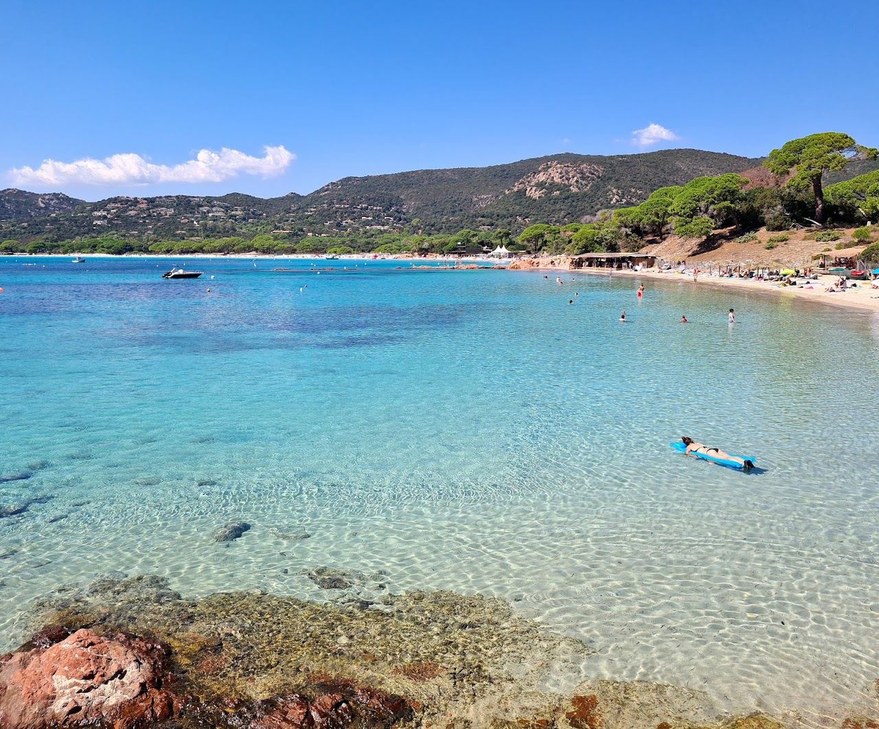 Pale sand and clear turquoise shallows along Palombaggia beach with pines behind the shore