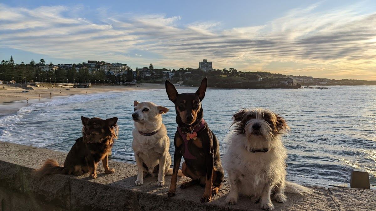 Coogee at Sydney, Australia