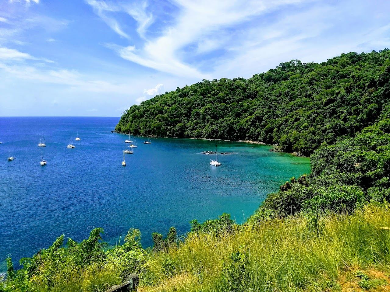 The forest backed cove and clear water of Pirates Bay in Tobago